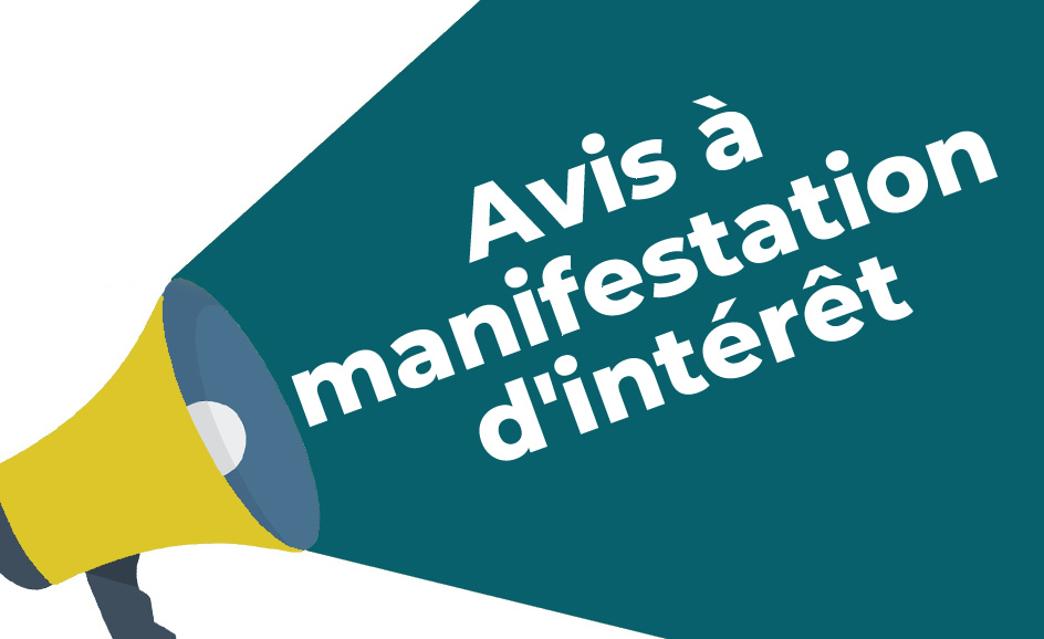 AVIS A MANIFESTATION D’INTERETS N°AP15 /ADD/2024 DU 05 Décembre 2024CONSTITUTION D’UN REPERTOIRE DE FOURNISSEURS/PRESTATAIRES AUTITRE DE L’ANNEE 2025